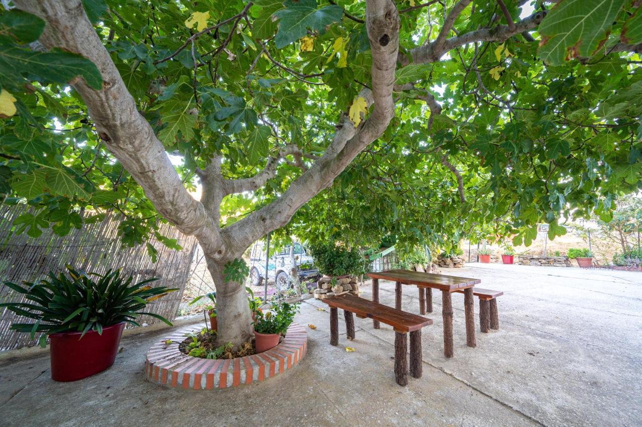 Hostal Vista A La Sierra Valle de Abdalagís Dış mekan fotoğraf