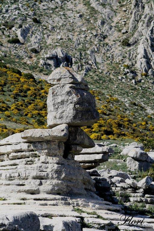 Hostal Vista A La Sierra Valle de Abdalagís Dış mekan fotoğraf